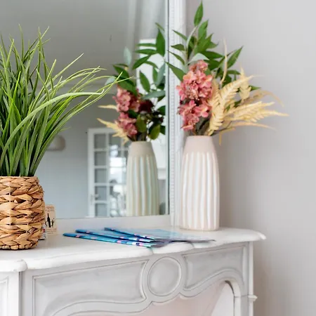 Luxury And Comfort In The Heart Of Apartment Paris